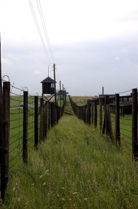 397px-Lublin_-_Majdanek_-_009_-_Barbed_wire