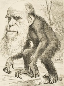 darwin