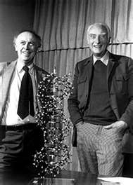 Francis Crick and James Watson, who shared the Nobel Prize for discovering the structure of DNA