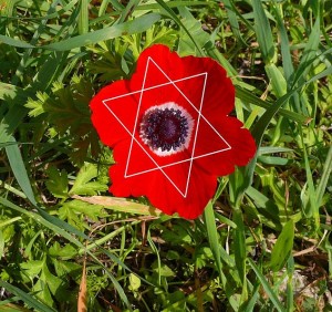 Star of David