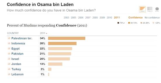 Pew OBL 2011