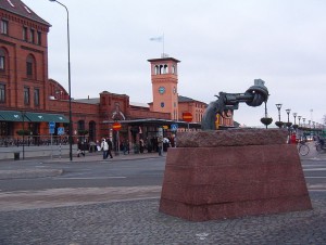 maimo