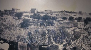 Deir Yassin