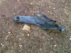 Debris from a 122mm Grad Rocket fired at Eilat from Sinai. Photo. Screenshot, Rescue Judea and Samaria