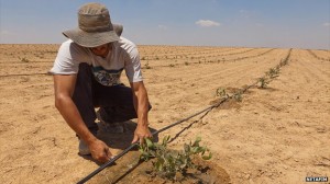 A farmer works with the Netafim irrigation system to more efficiently deliver scarce water to agricultural crops. Photo: Netafim.