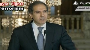 Mustafa Hijazi, advisor to interim Egyptian President Adly Mansour, says it's 'natural' that Israel is concerned with violence in Egypt. Photo: Screenshot.