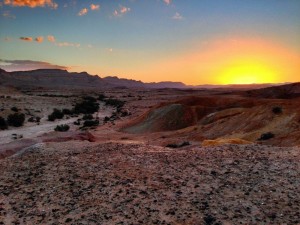Negev_Desert_near_Yeruham_Israel