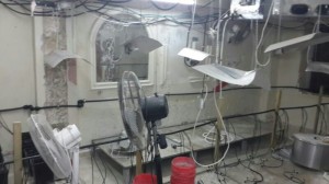 palestinian drug lab