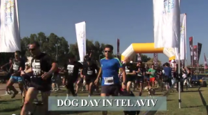 dog The start of the Dog Day festivities in Tel Aviv. Photo: Screenshot.