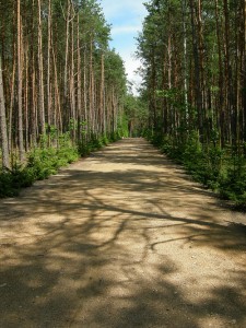 sobibor