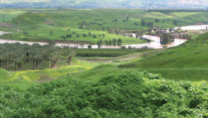 The Jordan River Valley. Photo: Ram Aviram.
