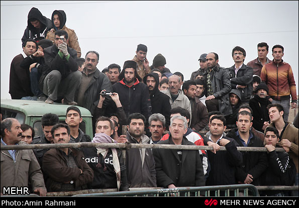 Iran News Agency Mehr's coverage of a public hanging. Photo: Amin Rahmani / Mehr.