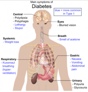 Main symptoms of diabetes. Photo: WikiCommons.