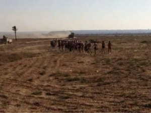 IDF forces take Palestinian prisoners in Gaza (0404 news)