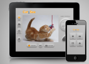 Cat 2 See Photo: screenshot