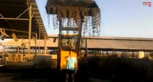 Cr_p Bucket Challenge Photo: screenshot