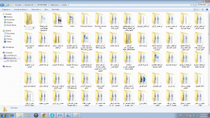 ISIS computer files. Photo: screenshot, Foreign Policy