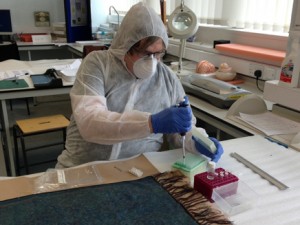 Jack the Ripper Daily Mail article. Photo: Dr. Jari Louhelainen, of Liverpool John Moores University