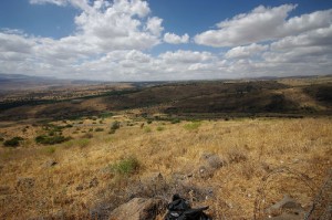 The Israeli government is planning to approve the building of a new Arab town in the Galilee region. Photo: Wikimedia Commons.
