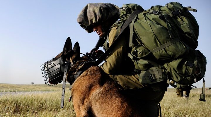 IDF Oketz Unit trainer and canine. Photo: IDF