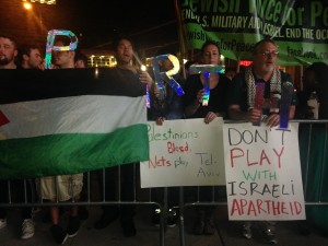 pro-palestinian protesters