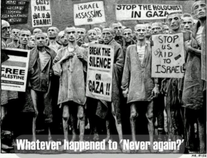 BDS flyer
