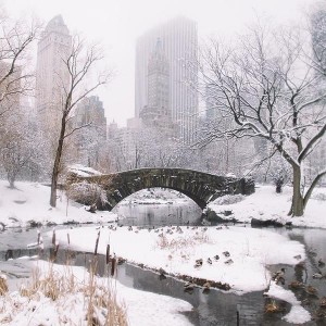 snow New York