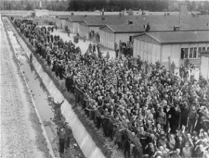 View of the prisoners' barracks soon after the liberation of the Dachau concentration camp 70 years ago. Photo: Wikimedia Commons.