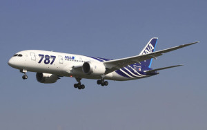 A Boeing 787 Dreamliner aircraft. Photo: Wikimedia Commons