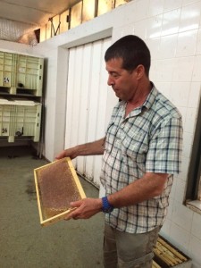  Yuval Lin, owner of Lin's Bee Farm in central Israel. Photo: Provided photo.