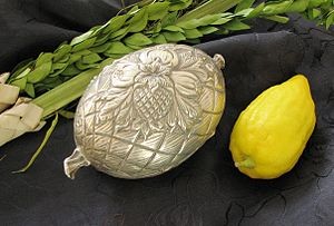 The four species of Sukkot include citron (etrog). Photo: Wikipedia.