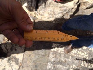 The makeshift dagger found on a teenager in east Jerusalem on Tuesday. Photo: Israel Police.