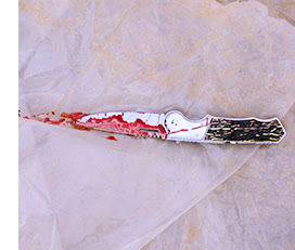 The knife used in one of the stabbing attacks being carried out daily in Israel. Photo: American Friends of Magen David Adom.