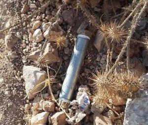 An Israeli Border Police canine unit found a pipe bomb in East Jerusalem. Photo: Twitter.