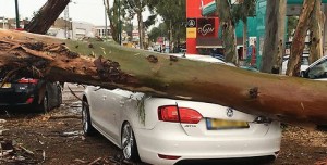 A heavy storm in Israel cut power lines for 50,000 Israelis. Photo: Twitter.