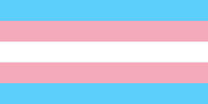 The transgender flag. Photo: Wikimedia Commons.
