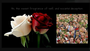 The logo of 'White Lies and Roses.' Photo: White Lies and Roses website.