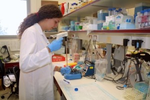 A laboratory at the Technion. Photo: Technion.