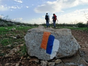 The Carmel forest along the Israel National Trail, with the trail's marker on the rock. The Israel National Trail is now the longest trail available on Google’s Street View feature. Photo: Dov Greenblat.