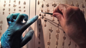 Israeli researchers will virtually piece together thousands of Dead Sea Scrolls fragments in a new German-funded digitization project. Photo: Shai Halevi/Israel Antiquities Authority.