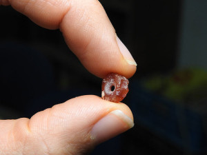 A 7,000-year-old bead that was discovered in an archaeological dig in northern Jerusalem. Photo: Ronit Lupo/Israel Antiquities Authority.