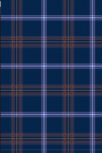 The pattern of the official new kosher Jewish tartan. Photo: Screenshot from jewishtartan.com.
