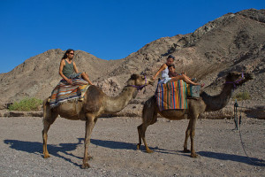 Tourists riding camels near Eilat. Photo: Israeli Ministry of Tourism.