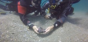 Divers holding coins discovered in a sunken Roman ship off the coast of Israel. Photo: Israel Antiquities Authority via YouTube.