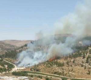 Hundreds of Jerusalem residents were evacuated after a major forest fire spread in the Ramot area. Photo: Twitter/Israel Hatzalah.