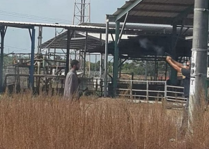 A resident of the Jordan Valley neutralizing the Jordanian who infiltrated into Israel. Photo: Ran Hachmon/Walla Screenshot.