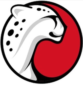 The Playtika logo. A consortium of Chinese companies led by Giant has agreed to pay $4.4 billion for the social casino game company. Photo: Instagram.