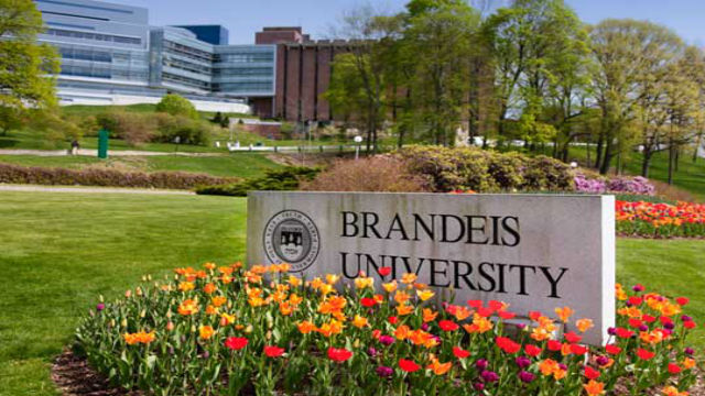 Brandeis University. Photo: Brandeis.