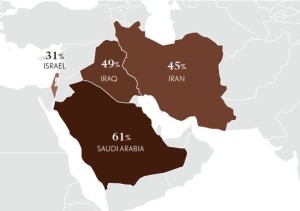 Part of the results from the CFR and National Geographic survey on global literacy of college-age students. Photo: Survey.