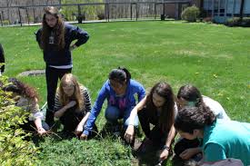 Students planting flowers in the Joan Davenny Memorial Garden. Photo Ezra Academy.